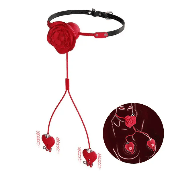 Rose Mouth Plug & BDSM Play Set